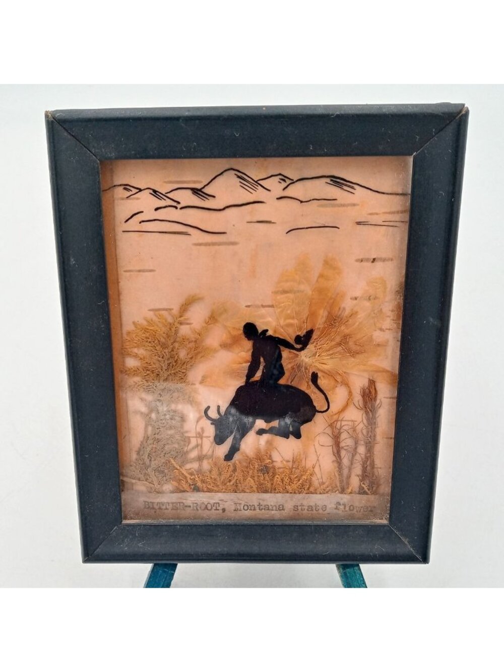 Bull Rider Cowboy Silhouette Pressed Flowers Bitter Root Montana Cowboycore Vtg